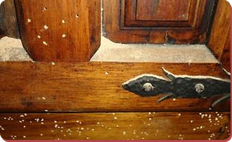 Trattamenti antitarlo Trattamento tarli legno